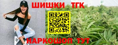 твердый Кингисепп