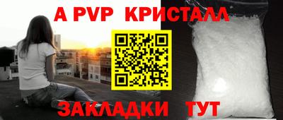 твердый Кингисепп